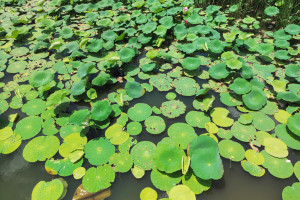 奥运电竞发展计划:公平竞赛,杜绝“外挂”才是王道