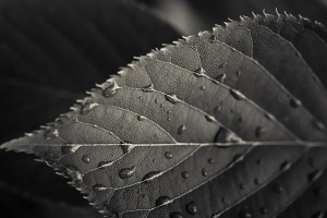 王楚钦状态神勇,直拍新天王横空出世! 王楚钦状态神勇,直拍新天王横空出世!